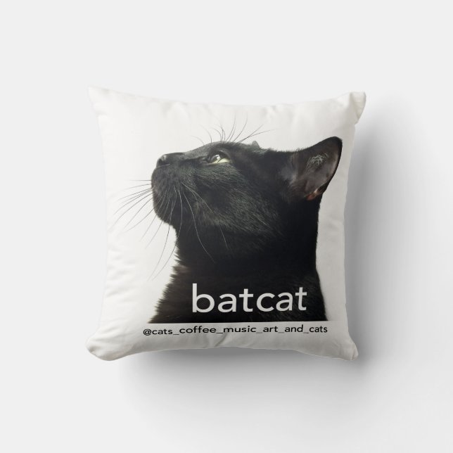 Coussin Batcat : Carreau (conception dégrossie par 2) (Recto)