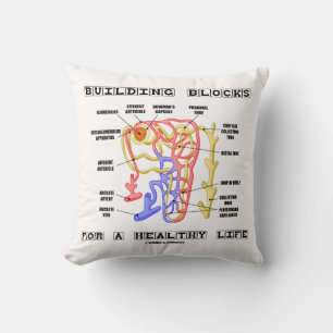 Coussin Bâtir Des Blocs Pour Une Vie Saine Nephron Du Rein