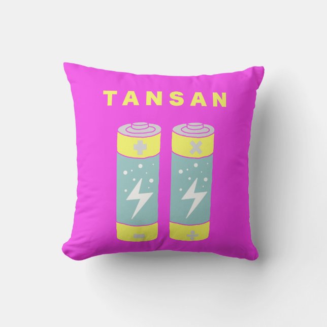 Coussin Batteries TANSAN (Recto)