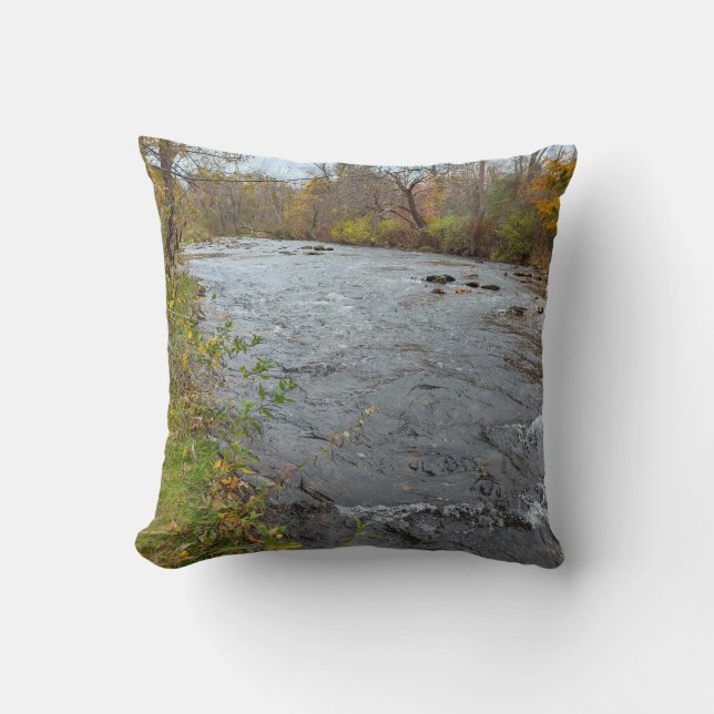 Coussin Be Still Old Grand Creek (Recto)