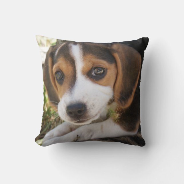 Coussin Beagle Chien Chien Chien Chien Chien Chien Chien C (Recto)