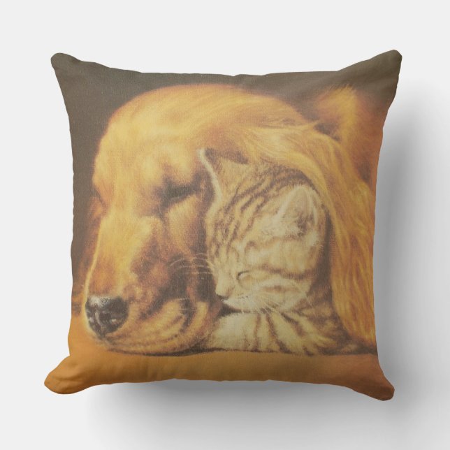 Coussin Beau art Extraordinaire de chats et de chats de ch (Recto)