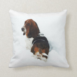 Coussin Beau Basset Hound dans le carreau de neige