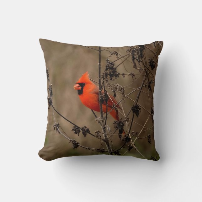 Coussin Beau Cardinal du Nord (Recto)