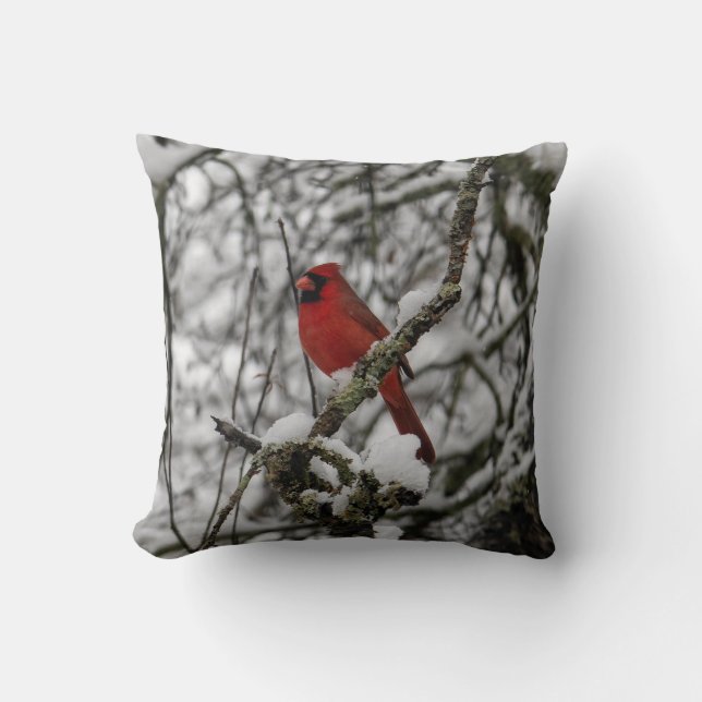 Coussin Beau Cardinal Rouge dans un arbre à neige (Recto)