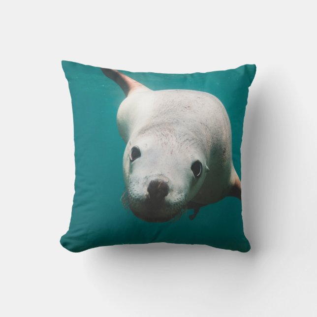 Coussin Beau Lion de Mer (Recto)