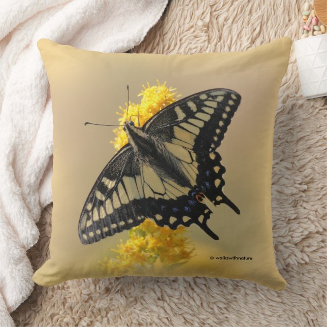 Coussin Beau papillon anis Swallowtail au soleil (Couverture)