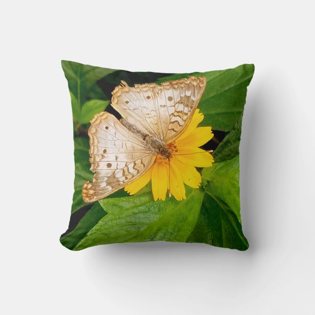 Coussin beau papillon blanc moth fleur jaune (Recto)