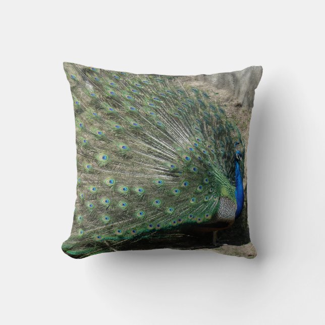 Coussin Beau Peacock (Recto)