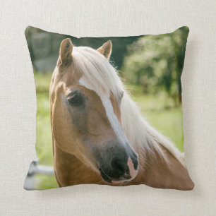 Coussin Beau portrait de cheval de haflinger