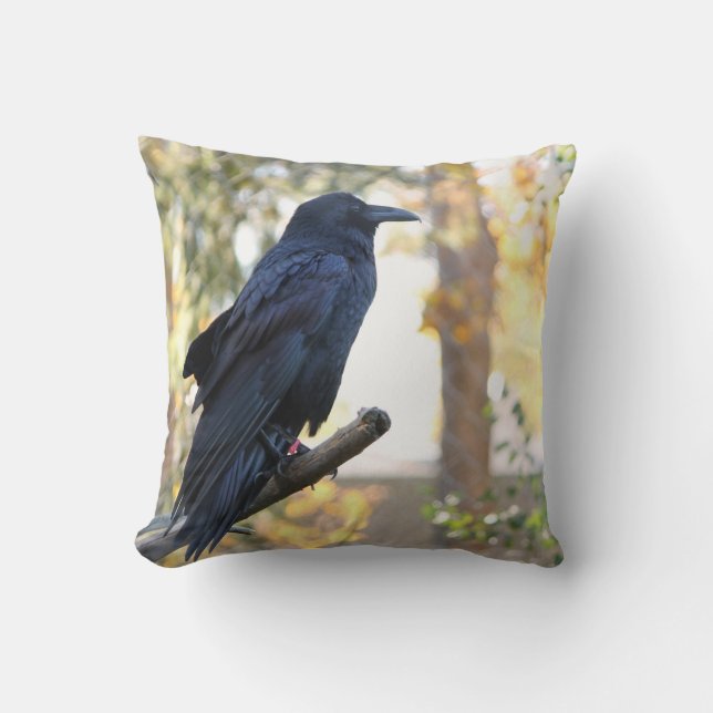 Coussin Beau Raven été perché sur le carreau de branche (Recto)