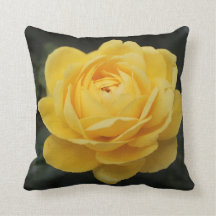 Beau rose jaune