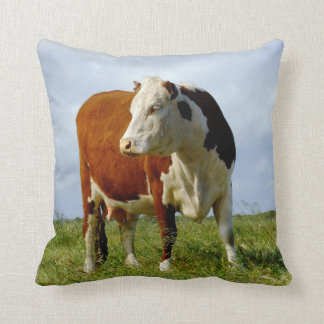 Coussin Beauté bovine