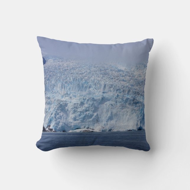 Coussin Beauté congelée (Recto)