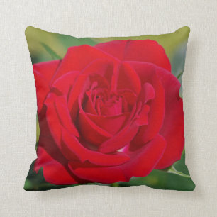 Coussin Beauté de rose rouge