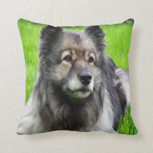 Coussin Beautiful Keeshond