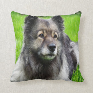 Coussin Beautiful Keeshond
