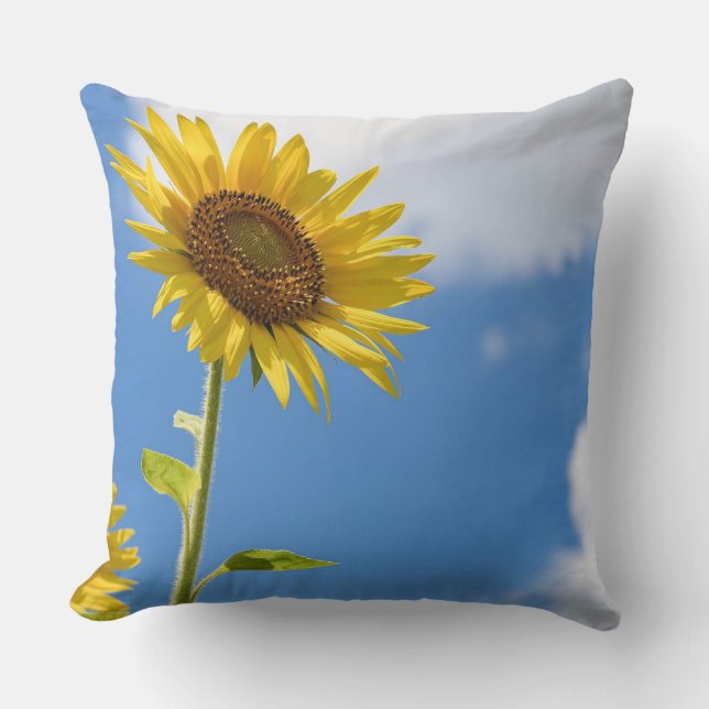 Coussin beautiful sun flowers witcloudy sky (Recto)