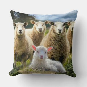Coussin Bébé agneau mouton troupeau troupeau troupeau
