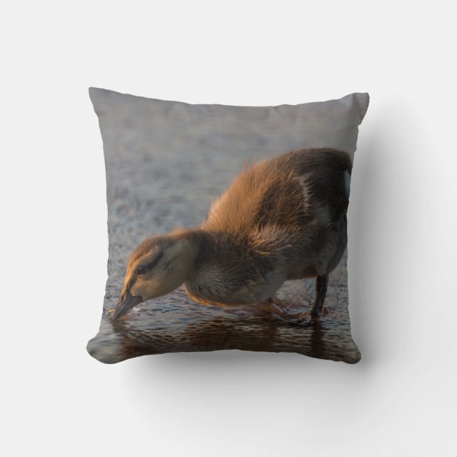 Coussin Bébé assoiffé (Recto)