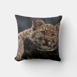 Coussin Bébé Bobcat allongé dans l'arbre