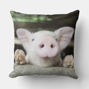 Coussin Bébé Cochon en Stylo, Piglet