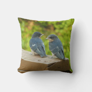 Coussin Bébé Grange hirondelle Nature Oiseau Photographie