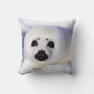 Coussin Bécasseau glacé du golfe du Saint-Laurent,