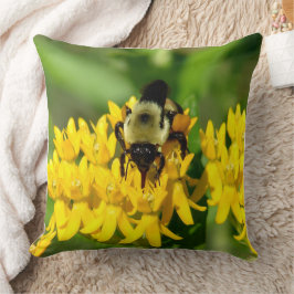 Coussin Bee Feasting on Butterfly Weed Wildflowers