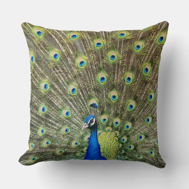 Coussin Bel oiseau paon (Recto)