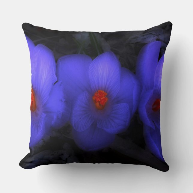 Coussin Belle floraison de crocus bleu pourpre (Recto)