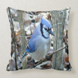 Coussin Belle Jay Bleu