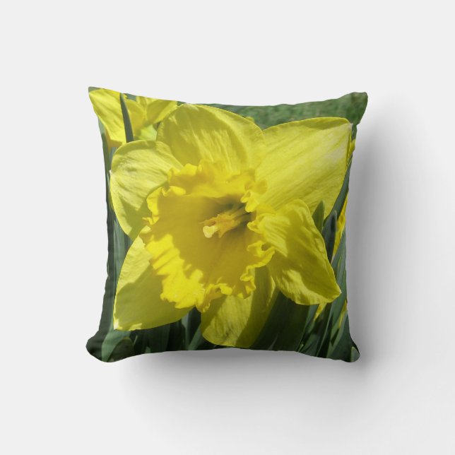 Coussin Belle jonquille (Recto)