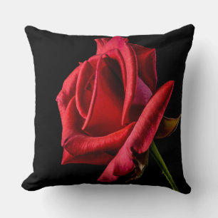 Coussin Belle Rose rouge vif Closeup