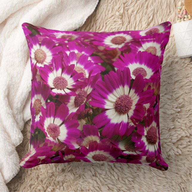 Coussin Belles fleurs de Cineraria violette (Couverture)