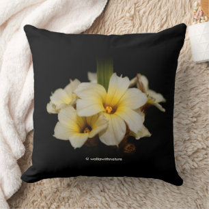 Coussin Belles fleurs satinées sur noir