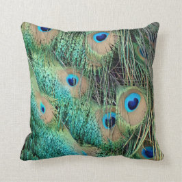 Coussin Belles plumes de paon avec le nouveau rouspéteur