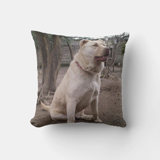 Coussin Berger afghan complet (Recto)
