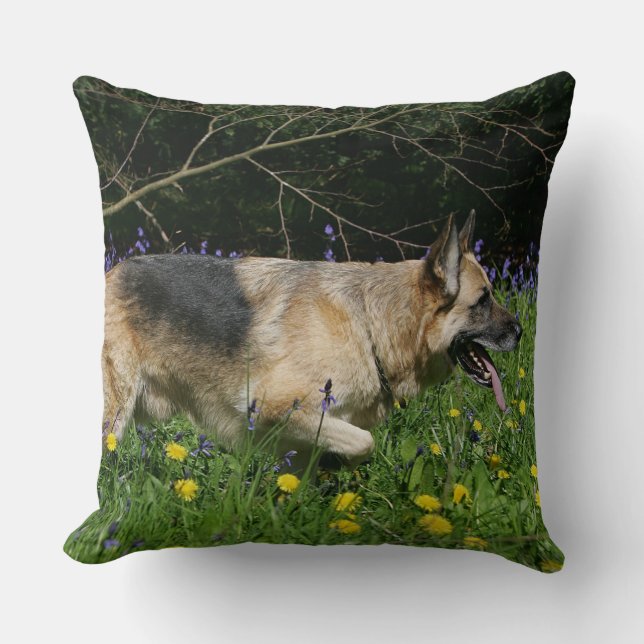 Coussin Berger allemand en fleurs jaunes (Recto)