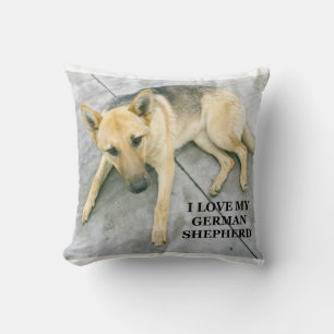 Coussin berger-allemand-noir et crème amour w photo
