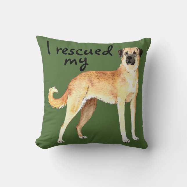 Coussin Berger d'Anatolien de délivrance (Recto)
