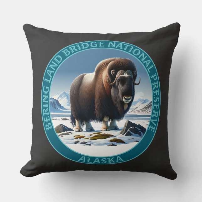 Coussin Bering Land Bridge National Preserve Alaska (Recto)