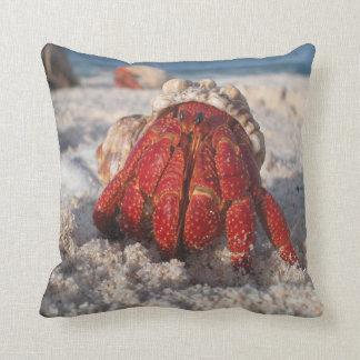 Coussin Bernard l'ermite sur la plage