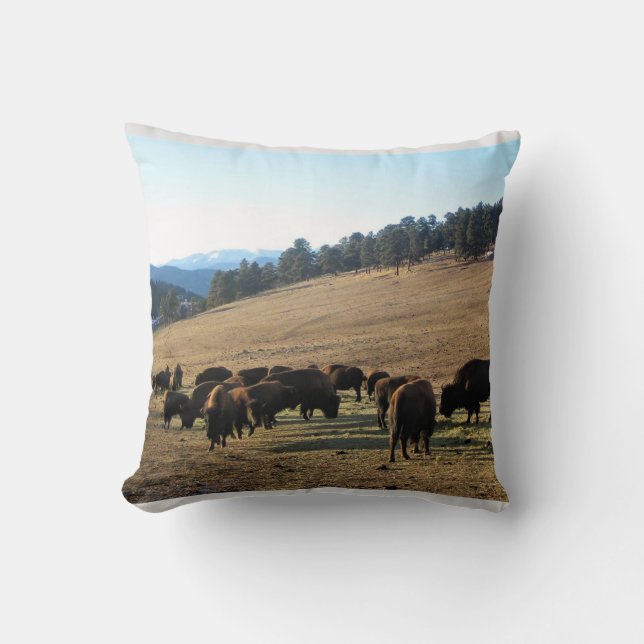 Coussin Bison dans le Colorado (Recto)