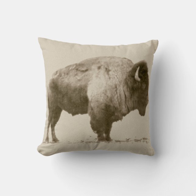 Coussin Bison des plaines (Recto)