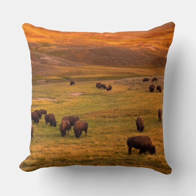Coussin Bison frôlant sur la colline à la vallée de Hayden (Recto)