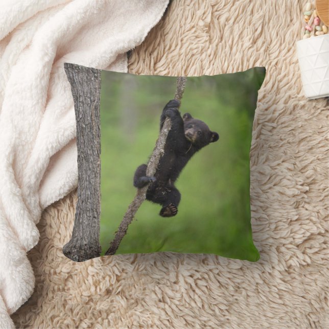 Coussin Black Bear Cub jouant sur le membre de l'arbre (Couverture)