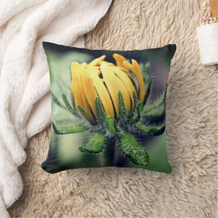 Coussin Black Eyed Susan Éveil