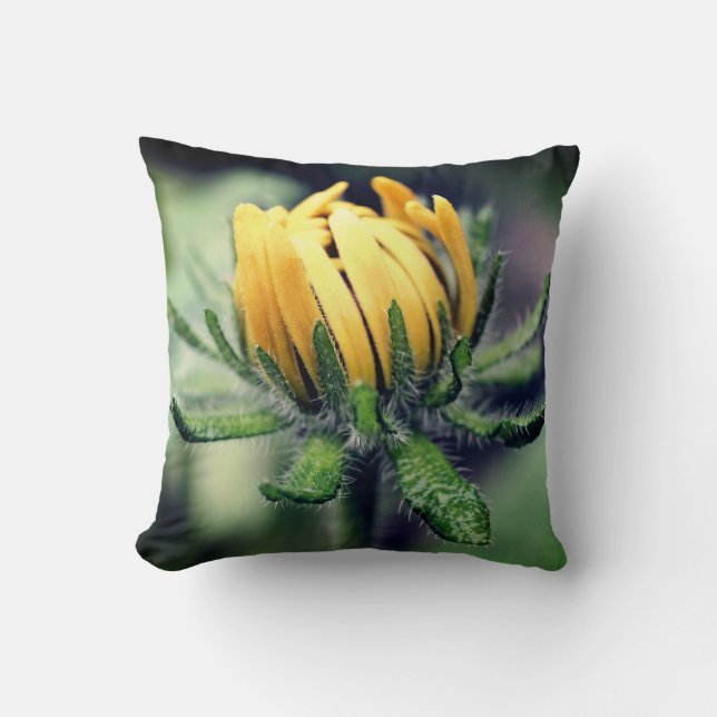 Coussin Black Eyed Susan Éveil (Recto)