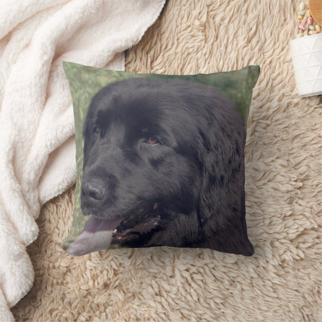 Coussin Black Newfoundland Dog Face (Couverture)